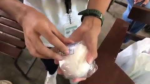 performance task 2 (egg drop)