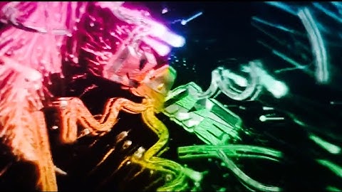 FREE EPIC RAINBOW INTRO