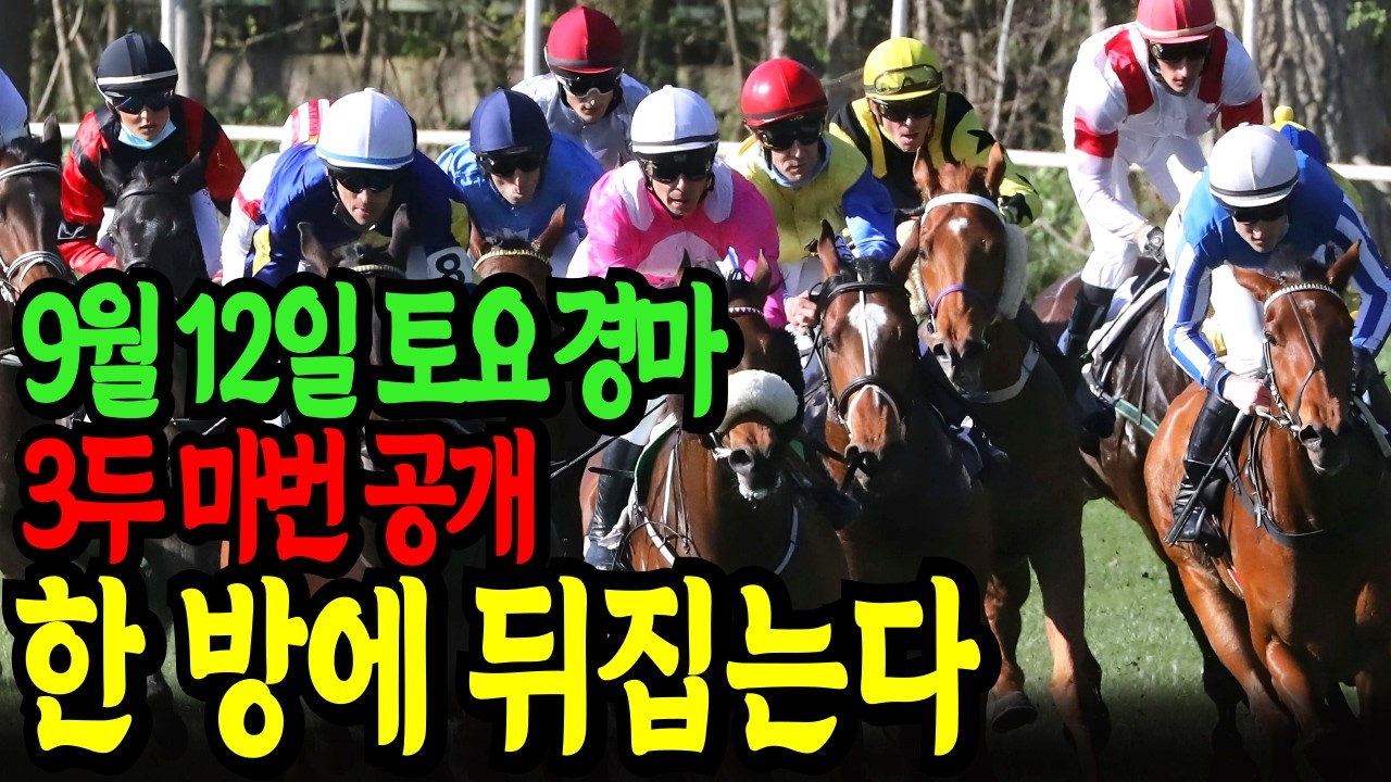 9월 12일 토요일 경마~ 복병 역대급 반전 | 진짜 주인공 공개ㅣ승전경마 전문가의 이변 포착 l 경마 l 경마예상 l 코리아레이스 l 검빛경마 ㅣ경마정보