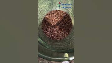 Small Roasted Coffee Bean Sorting S32