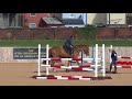 Young Horse Showjumping Training Part 5