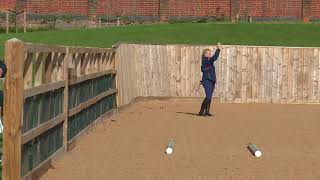 Young Horse Showjumping Training Part 5