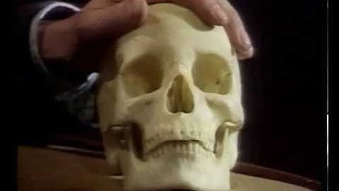 The Computer Programme 1982   07