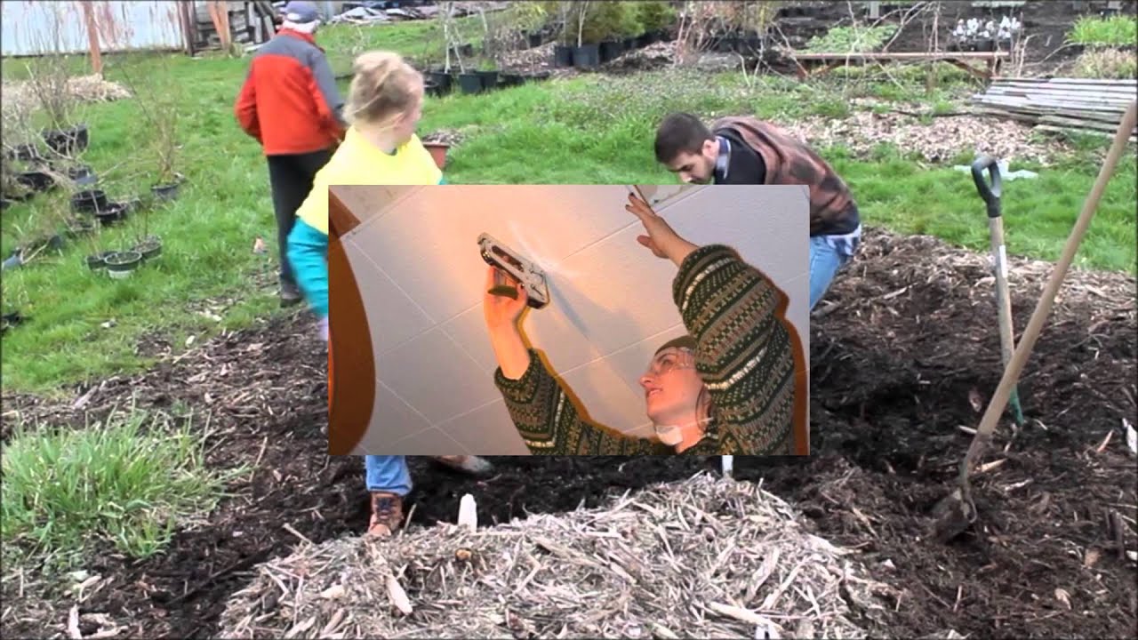 U-Idaho Alternative Service Break (ASB)