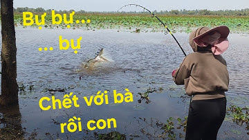 Cá ăn mạnh ngày trở lại Tràm Chim. Gió lạnh kéo cá sướng tay | Săn bắt SÓC TRĂNG |