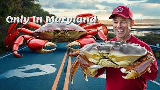 Uncovering Maryland's Best Kept Secrets