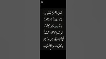 تلاوة خاشعة من سورة هود الآية 17 | نور الإيمان وشهادة الحق من الله تعالى