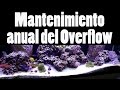 Importancia del mantenimiento anual - Overflow