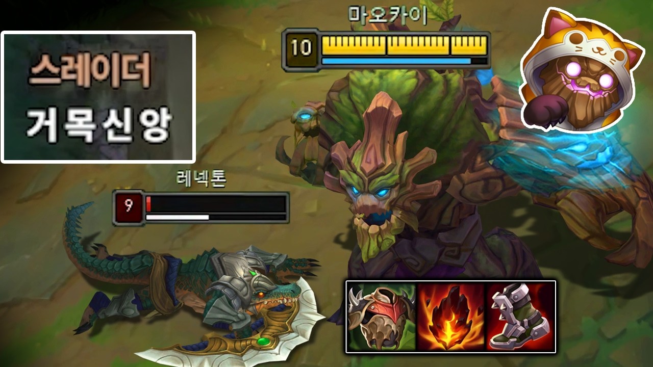 네, 저는 2020년에 마오카이 원챔이였습니다🌳