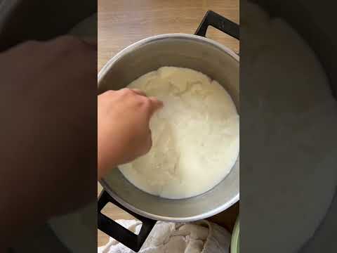 Wideo: Jaka podpuszczka jest używana w serze mozzarella?