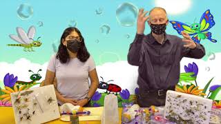 52 Aspirator and Puffer - Atrapainsectos y Soplador
