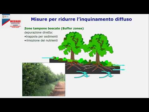 Video: Il bioaccumulo porta sempre alla biomagnificazione?