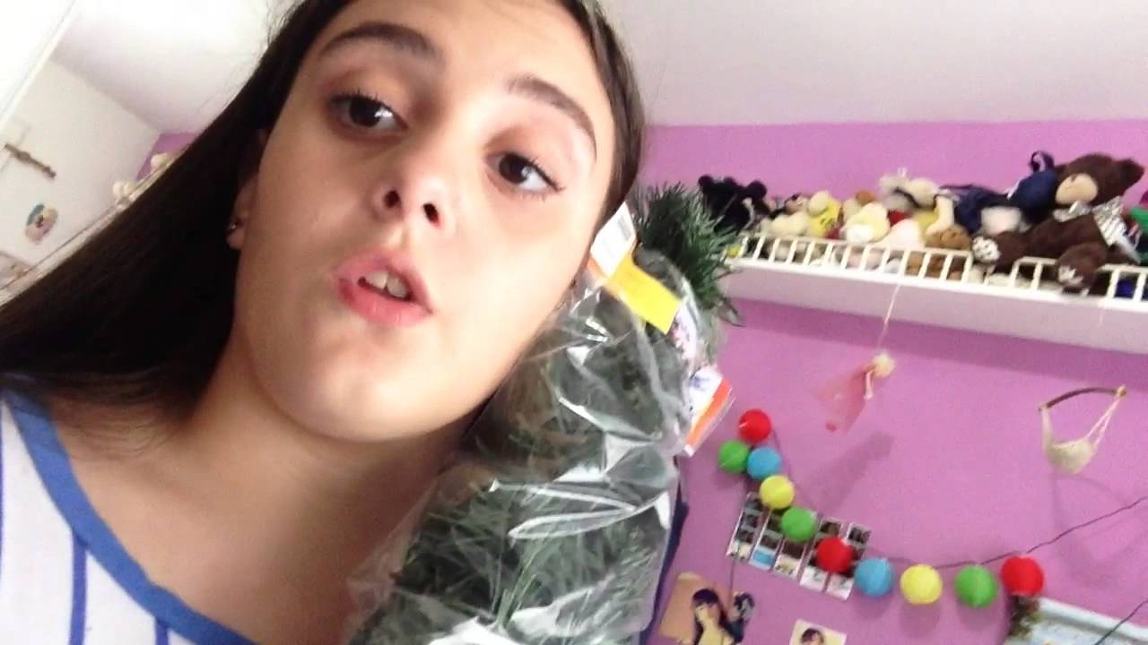 Vlogmas 7 Nuevo cargador portatil y  carrefour!