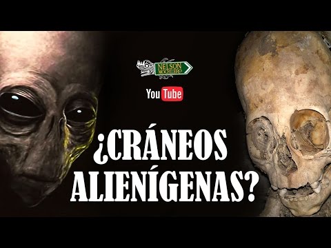 Vídeo: El Misterio De La Calavera De Sealand Y La Versión Del Origen Alienígena - Vista Alternativa