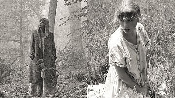 Folklore by Taylor Swift but it