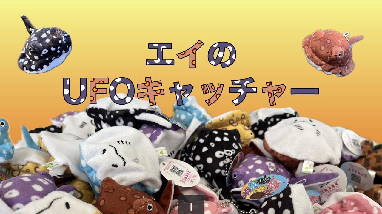 エイのUFOキャッチャー