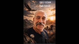 DELİ GÖNÜL
