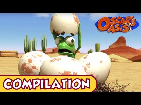 Oscar's Oasis - APRIL COMPILATION [ 20 MINUTES ]