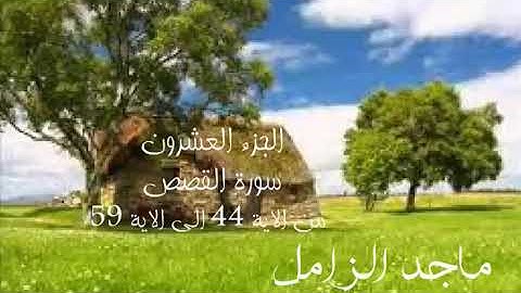 تلاوة بديعة من سورة القصص - للشيخ #ماجد_الزامل