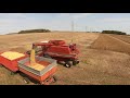 Slow Moving -  2 Ohio Old Timers - International 1460 - Soybeans - Fulton County- Harvest 2020