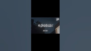 محمد صديق المنشاوي | سورة الضحى