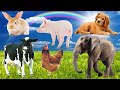 Heal emotions with animal sounds dogs cats horses cows giraffes
