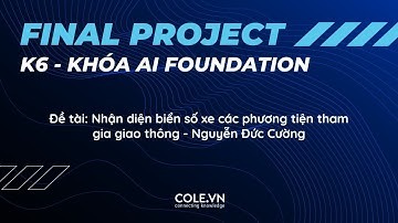 Nhận diện biển số xe bằng YOLOv5 + Data Augmentation - Nguyễn Đức Cường | K6 - AI Basic | Cole