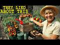 Why Companies Buried These: 25 Soil Gardening Secrets From WWII That Triple Your Harvest