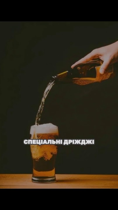 Університет Кардіффа в Уельсі відомий своїми науковими досягненнями ...
