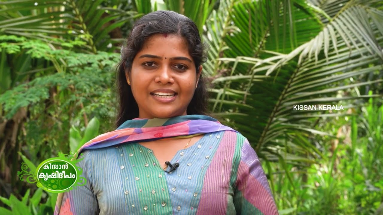 Kissan Krishideepam Episode-1120 A farmer becomes a star with jack processing