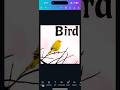 How to create 3D text effect Bird on Canva | Canva tutorial Canva hacks