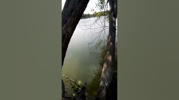 câu cá 🐟🐟 long vĩnh châu thành tây ninh