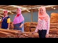 Indonesia Rosewood production with Wood-Mizer LT20 Sawmill