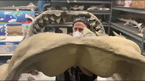 A Shark Replica Gets New Teeth at Calvert Marine M...