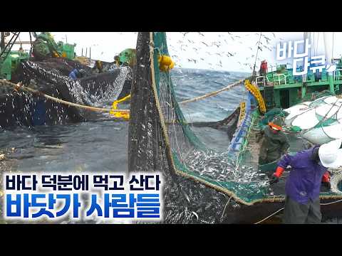 🌊Whatever the Sea Provides✨A Collection of People Who Eat and Sleep at Sea / Masters of the Sea, ...