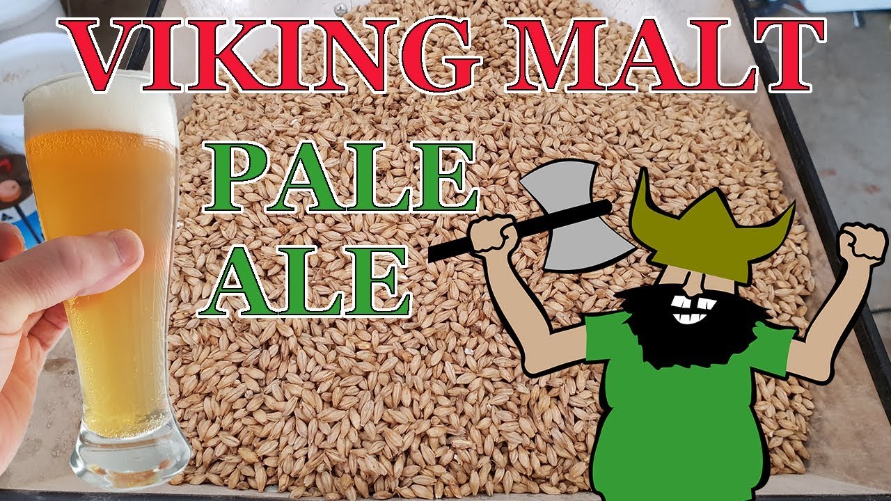 Viking Malt Pale Ale All Grain Robobrew Brew Insight