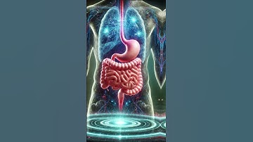 Điều gì xảy ra nếu chúng ta UỐNG NƯỚC ẤM vào mỗi buổi sáng?