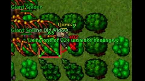 Quenzo-Solo the Old Widow