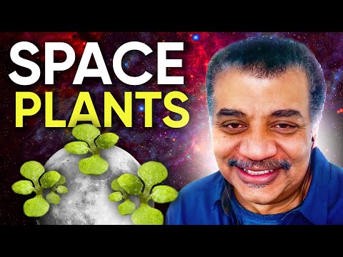 Farming on the Moon with Neil deGrasse Tyson, Anna-Lisa Paul & Robert Ferl