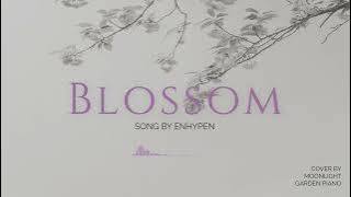 엔하이픈 (ENHYPEN) Blossom Piano Cover | 블라썸 피아노 커버
