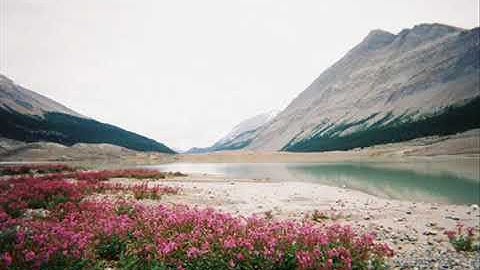 تلاوة عطره بقمة الجمال تُرقق القلوب لاتوصف