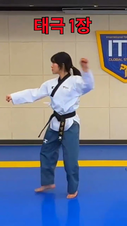 Taegeuk1 | Taegeuk IL Jang #shorts