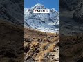 Annapurna Base Camp Views That Feel Unreal #mountains #travelagency #travel #mountaintours