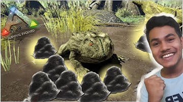 how to get cementing paste | Ark survival evolved | ark survival beelzebufo