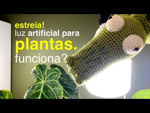 Vídeo: Como é uma lâmpada saudável - Verificando as lâmpadas antes de plantá-las