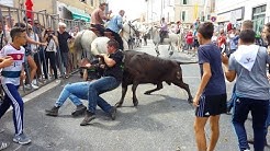 NIMES-CONCOURS D'ATTRAPAIRES-FERIA DES VENDANGES-2016/09/17-BANDIDO-ABRIVADO-Manade Du GARDON