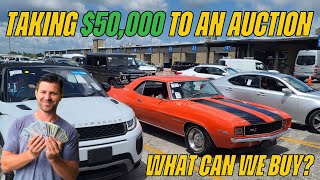 Are Cars Cheaper at Dealer Auctions in Florida?  Flying Wheels