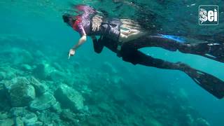 Snorkelling Workshop GoAzul Aquasport #20180927