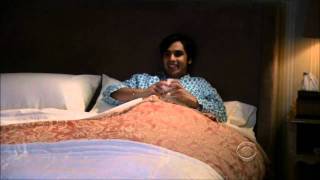 The Big Bang Theory: How Raj Spends His Evenings