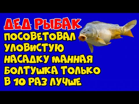 Дед рыбак посоветовал уловистую насадку манная болтушка, только в 10 раз лучше